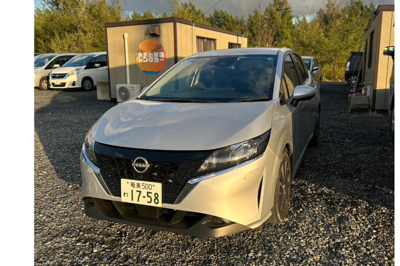 ★あまみ南国レンタカー　奄美大島　×　GO GO レンタカー限定プラン★　