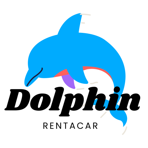 dolphin rent a car