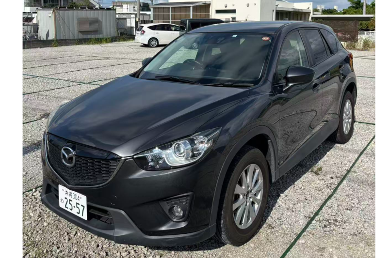 【기본 보상 포함】5인승 대형 SUV(모든 차량 네비게이션, 블루투스, 후방 카메라, 스마트폰 홀더 기본 장착)