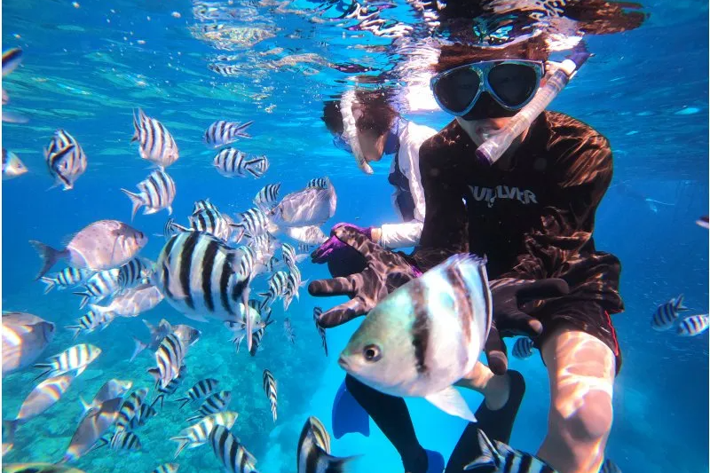 【沖縄・恩納村】青の洞窟・貸切・ビーチエントリー・シュノーケリン・写真動画無料プレゼント!・約2時間・1日3回開催・※EnglishOK!!