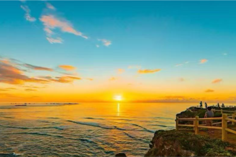日本 沖縄・石垣島 貸切日帰りツアー