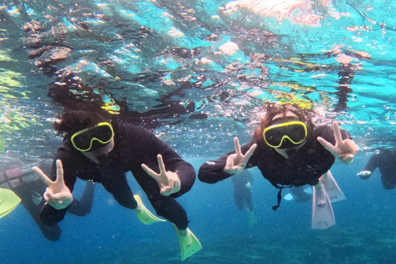 【세소코섬】2026년도 세소코섬 오픈 ! 바나나보트로 이동하는 스노쿨링 (이용기간:2026.4.18~10.31) *한국인스탭이 상주하고있습니다*