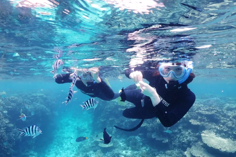 【세소코섬】2026년도 세소코섬 오픈 ! 바나나보트로 이동하는 스킨다이빙 (이용기간:2026.4.18~10.31) *한국인스탭이 상주하고있습니다*